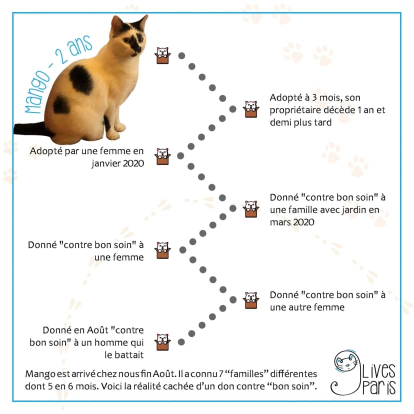 Article Wamiz sur Nine Lives Paris