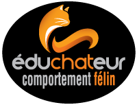 Educhateur - coaching félin