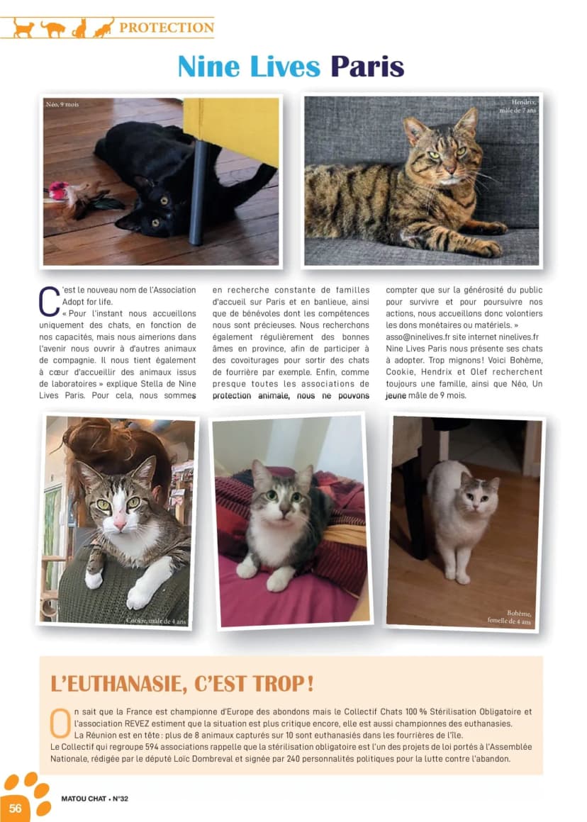 Article Matou Chat n° 32