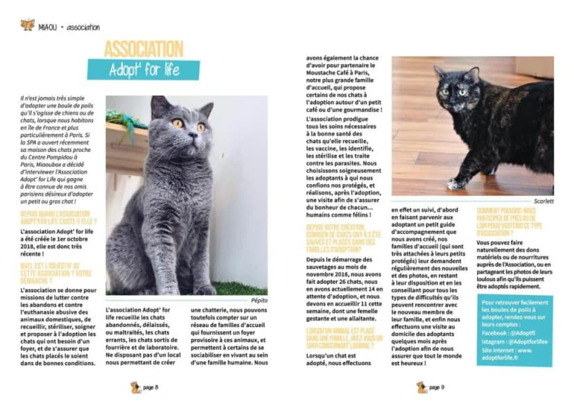 Article MiaouMag avril 2019