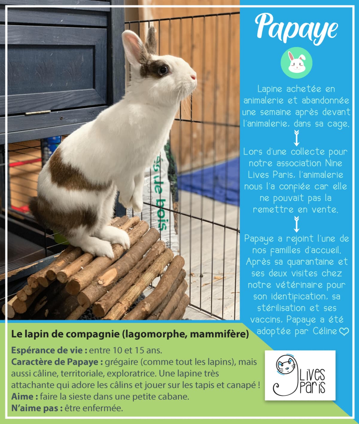 Sauvetage de Papaye