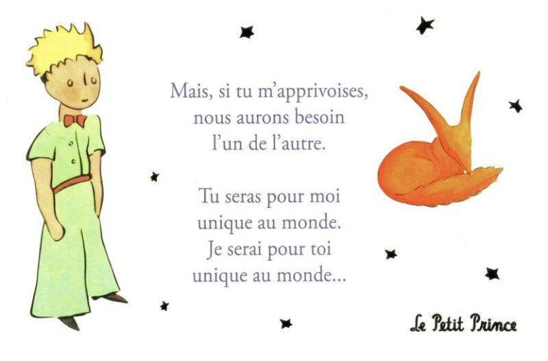 citation Petit Prince