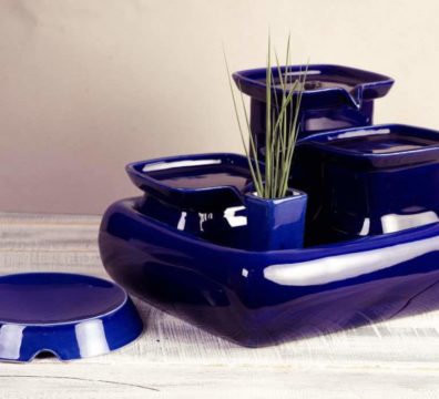 blue-with-bowl